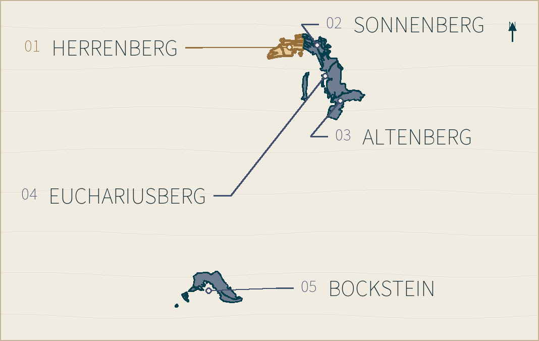 Falkenstein 涉及的五个葡萄园位置图；Herrenberg 以暖金色高亮，细引线连接到园名。